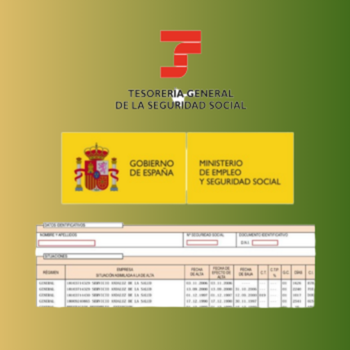 Informe VIDA LABORAL